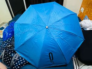 Bottle Umbrella New With Tag