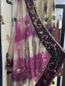 Embellished Lehenga Choli