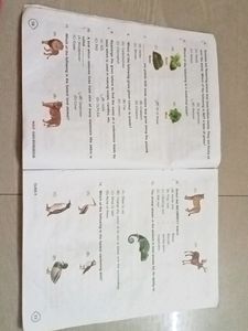 IGKO Olympiad Book For Class 3