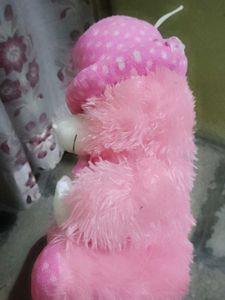 Pink Teddy Bear with Hat