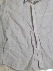 Branded Formal Shirt