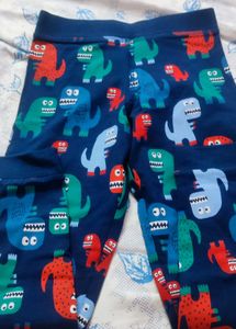 Dinosaur Print Top &amp; Bottom Set