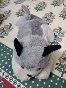 Cute Husky Plush