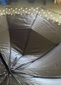 Beautiful Foldable Brown Umbrella