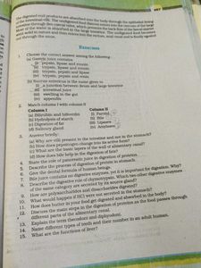 Biology Textbook XI