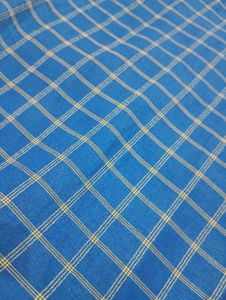 Blue Checked Saree