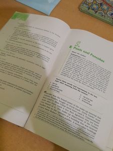Vistas And Flamingo Class 12 English Cbse Latest