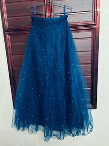 Blue Embellished Lehenga Choli
