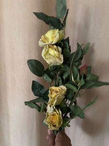 Yellow Roses
