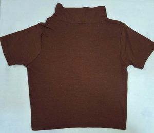 Brown Crop Top