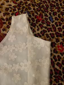 party wear crop top
