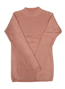 Sparkly Knit mock neck Top