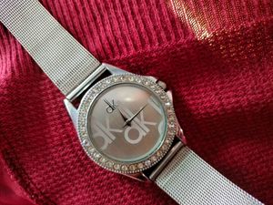 Women DK Silver Metallic Watch