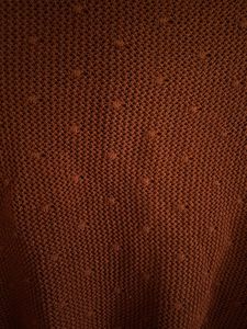 Zara Rust Colour Top