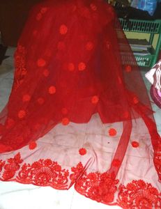 Net Embroidered Saree