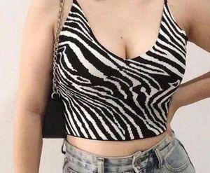 Zebra Print Knit Cami Top