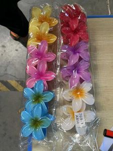 Buy 4 Flower Clature