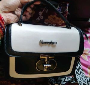 Chic Two-Tone Handbag