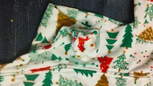 Christmas Special Baby Dress
