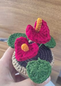 Crocheted Anthurium Plant