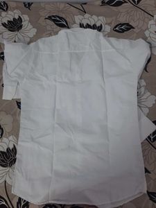 Basic White Shirt