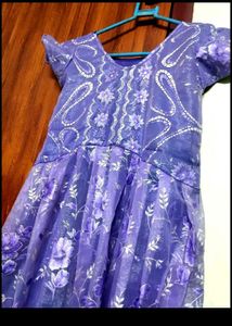 Organza Gown New