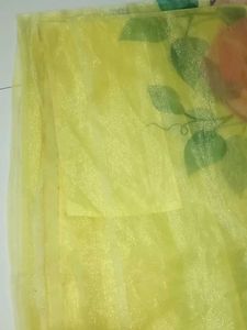 Pure Organza Saree