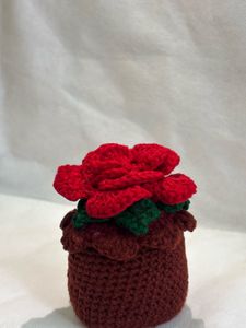 Crochet Flowers With Pot Only On 599/-