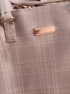 Handbag With Minor Chirpings