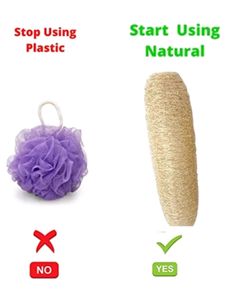 Natural Loufah/loofah Body Scrubber of Dried Ridge Gourd, (Pack of 2)