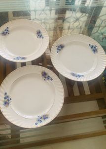 BEAUTIFUL PLATES