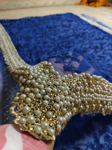 Elegant Blue Embellished Saree