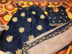 Embroidered Lehenga Choli Set