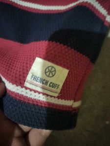 Striped Short Sleeve T-Shirt
