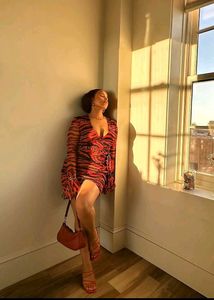 Original Pretty Little Mesh Dress