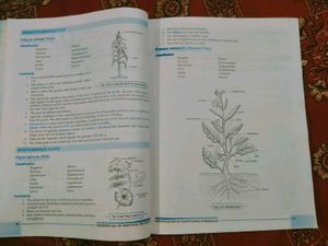 Class 11th Biology Practical Book.