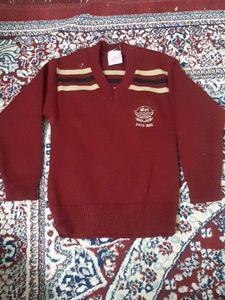 Kids Maroon Sweater, Size 24