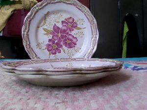 Floral Dinner Plates (Set of 6)