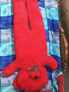 Red Teddy Bear
