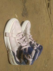 Stylish High-Top Sneaker Original Xtep Shoes