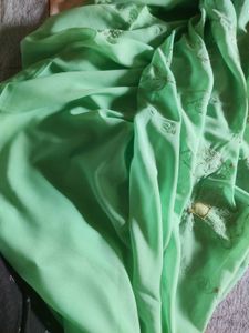 Mint Green Embroidered Saree