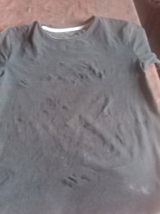 A t Shirt