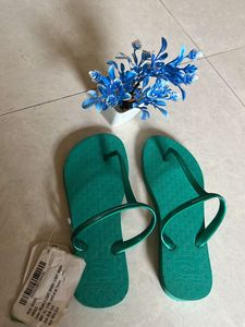 New light green sleepers
