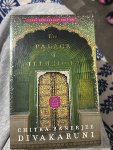 the palace of illusions