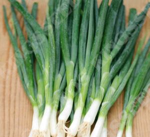 Spring Onion Seeds