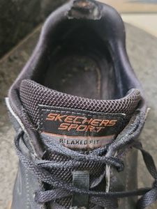 Skechers Casual Shoes