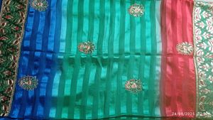 Elegant Embroidered Saree