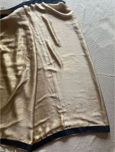 Beautiful Shiny Saree