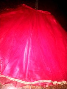 pink skirt with netted ouside