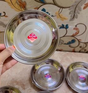 Set of 6 Stainless Steel Dinner Plates